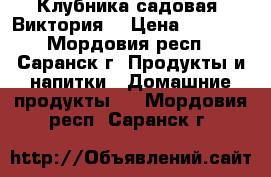 Клубника садовая (Виктория) › Цена ­ 1 000 - Мордовия респ., Саранск г. Продукты и напитки » Домашние продукты   . Мордовия респ.,Саранск г.